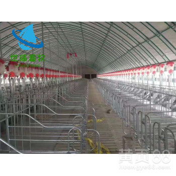 山東世瑞畜牧 專業大棚工程建設，為養殖戶保駕護航